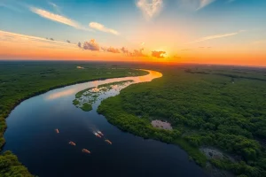Parque Nacional y ANMI Otuquis: humedales y fauna – Guía Definitiva de Viaje: Descubre el Pantanal Boliviano, Aventura y Conservación