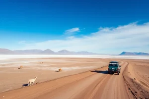 Cómo viajar entre Bolivia y Chile por el altiplano: guía completa para cruzar el techo de América