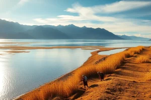 El cambio climático en el Lago Titicaca: desafíos y proyectos de conservación – La Guía Definitiva para Comprender la Crisis y las Iniciativas de Salvaguarda